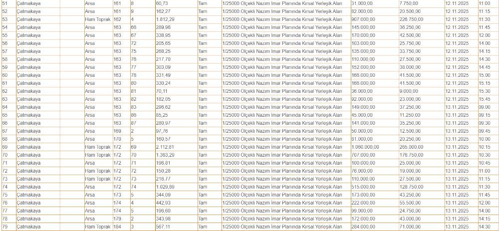 Konya'da hazine arazileri çok ucuza satılacak! Sadece 40 bin TL 8